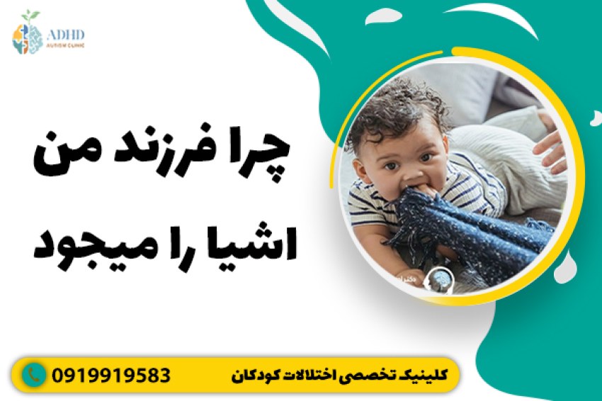 چرا فرزند من اشیا را میجود